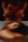 Sluts looking for bulls